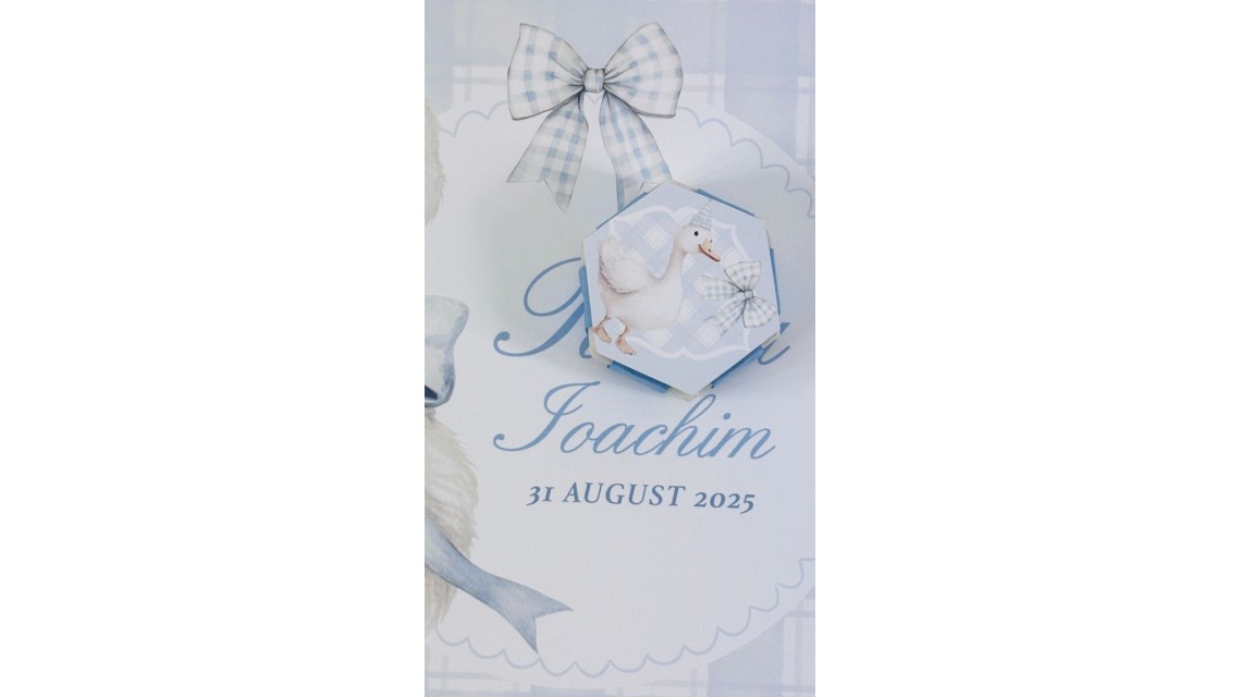 Trusou de botez cu rățuște Silly Goose 20